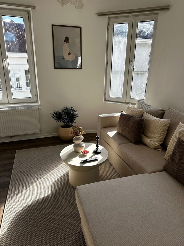 Basic Apartment | Living room | Flat-screen TV