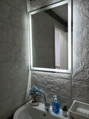 Shower, hair dryer, bidet, towels