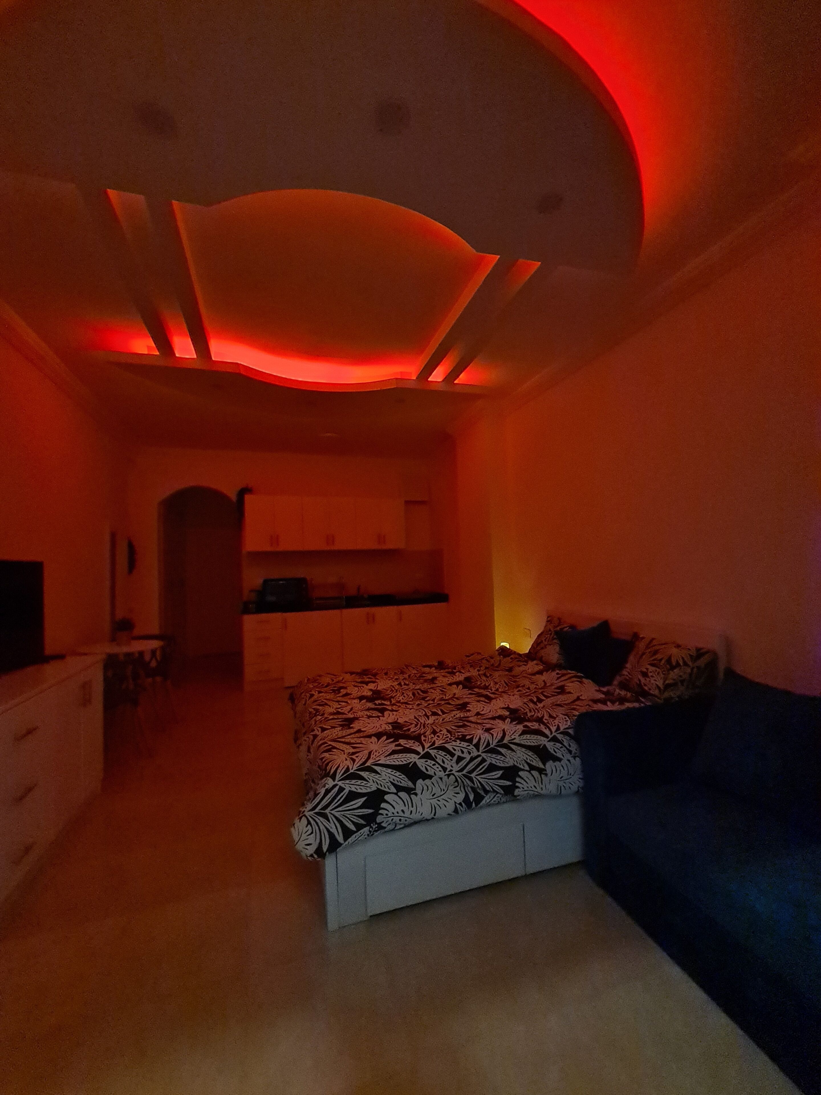 A bedroom with a bed, a sofa, a kitchen area, and a dining table.