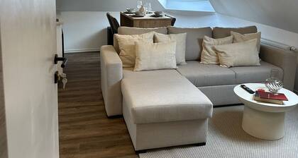 Cozy 1BR plus LR Apt Ghent Gravensteen