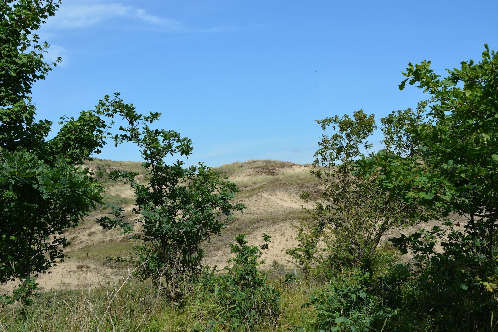 Umgebung [Sommer] (1-5 km)