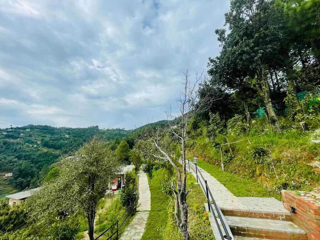 A pathway leading uphill with a stone railing, surrounded by greenery and trees.
