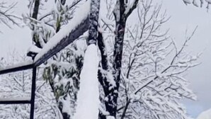 Een besneeud gebied buiten met een metalen hek en bomen.