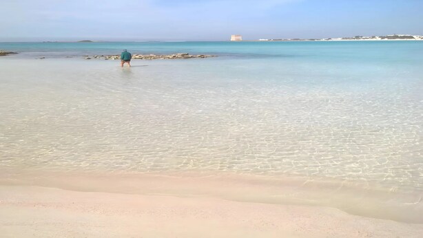A beach with clear shallow waters and a person walking towards the water. - Villa Ondaluna – Charme e Relax a Porto Cesareo (Torre Lapillo)