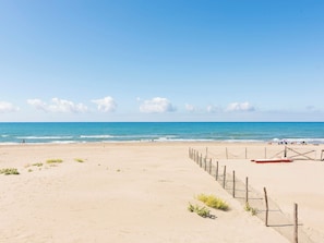 Playa en los alrededores 