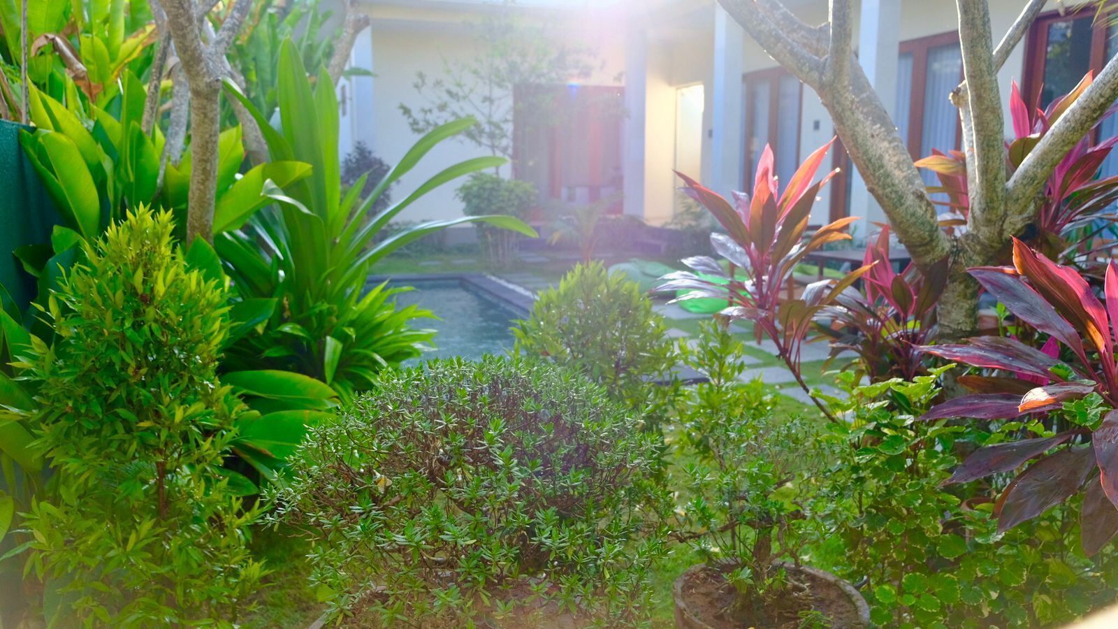 Garden view