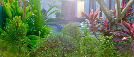 A lush garden with various plants and a small pond.