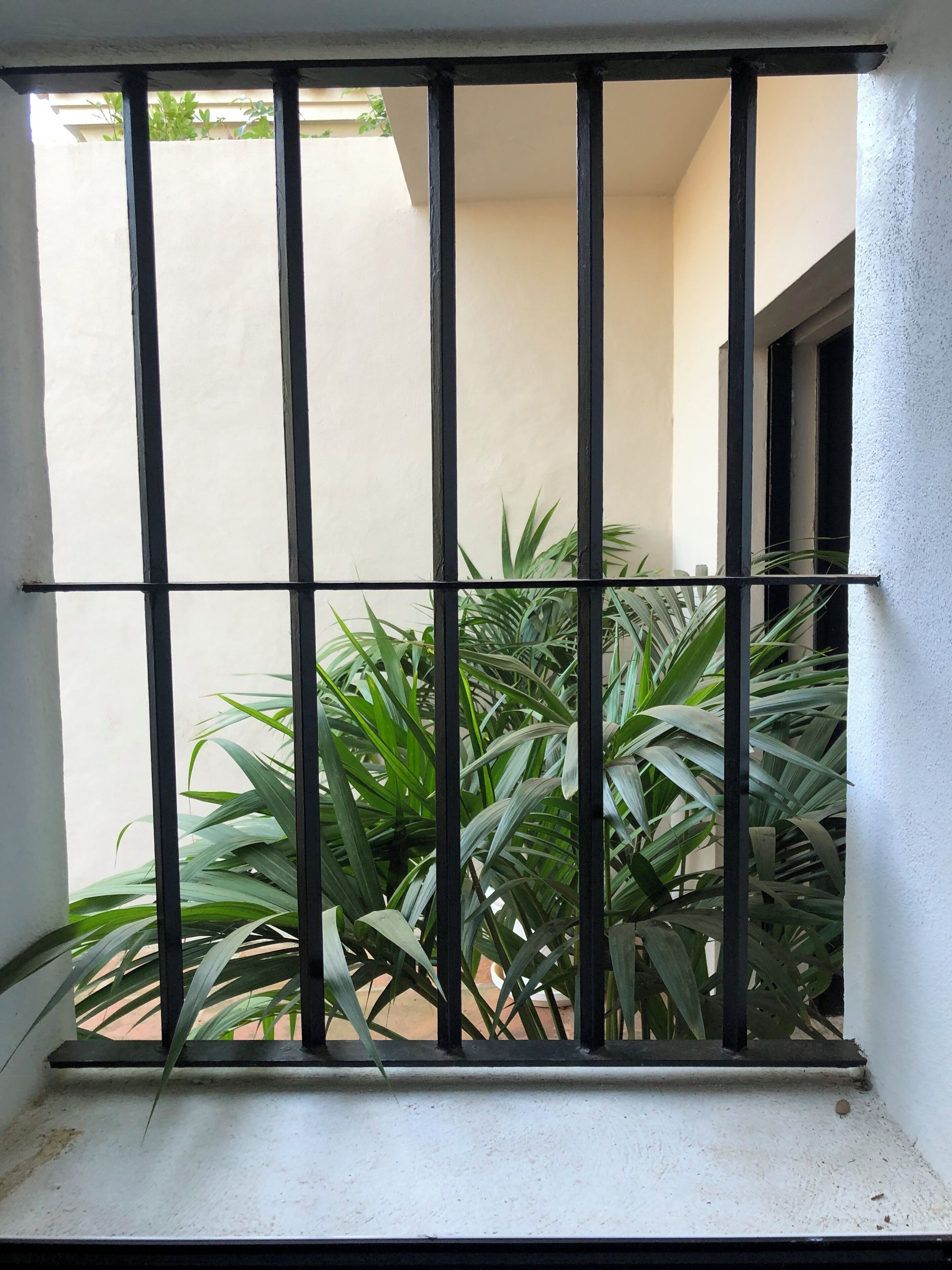 A window with metal bars, a white wall, and green plants outside.