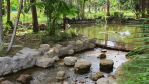 A natural water feature with rocks and vegetation. - Serene Retreat Phu Quoc (Phu Quoc)