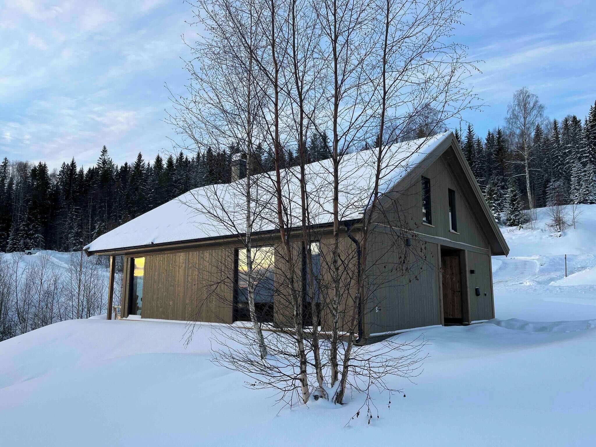 Cabin, 4 phòng ngủ, ban công, quang cảnh hồ | Ngoại thất