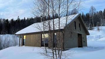 Cabin, 4 Bedrooms, Balcony, Lake View | Exterior