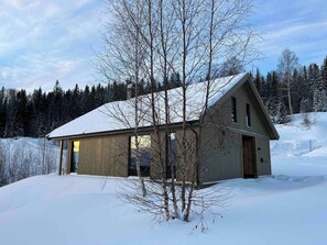 Ferienhütte, 4 Schlafzimmer, Balkon, Seeblick | Aussenbereich