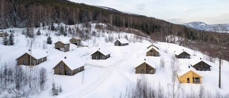 Chalet rustique, 4 chambres, balcon, vue sur le lac | Extérieur