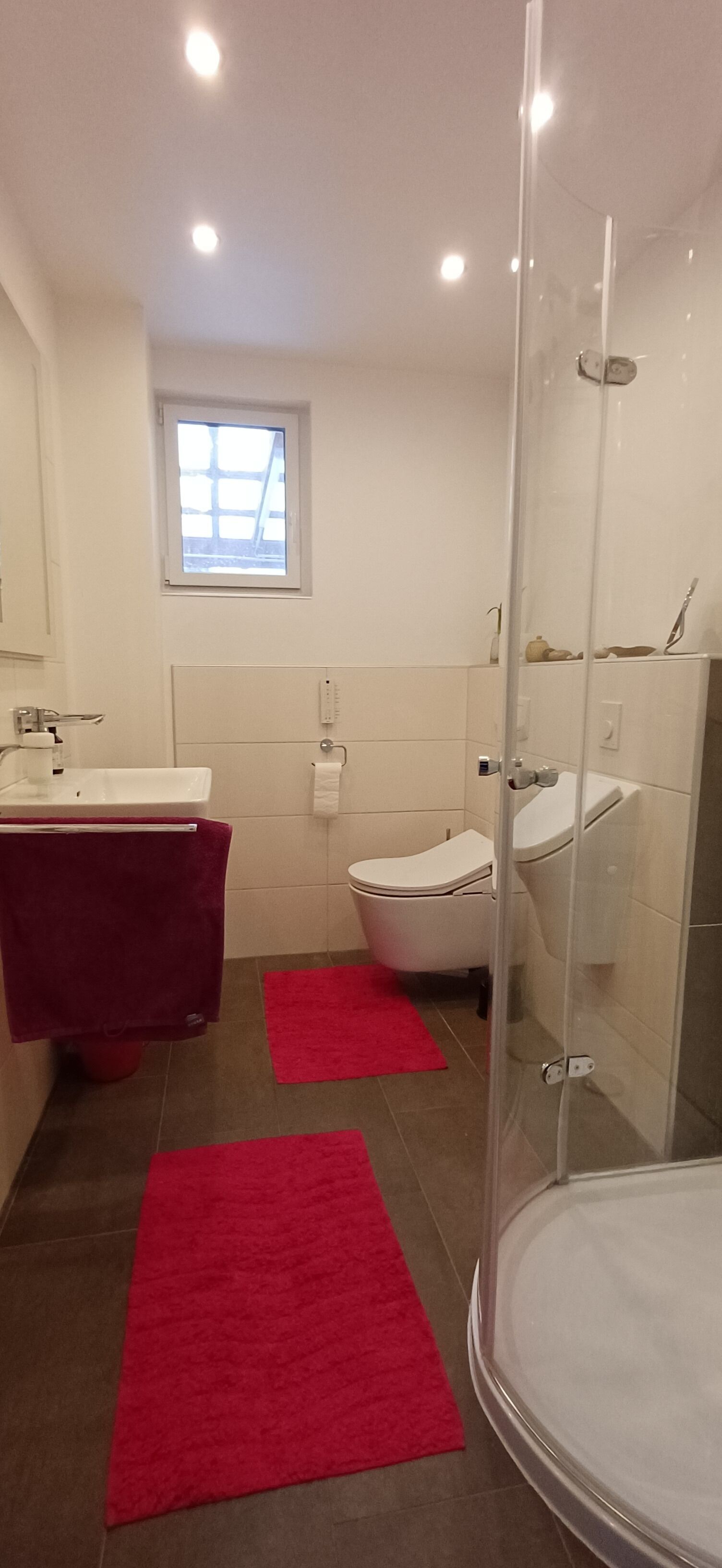 Douche, sèche-cheveux, serviettes fournies, savon