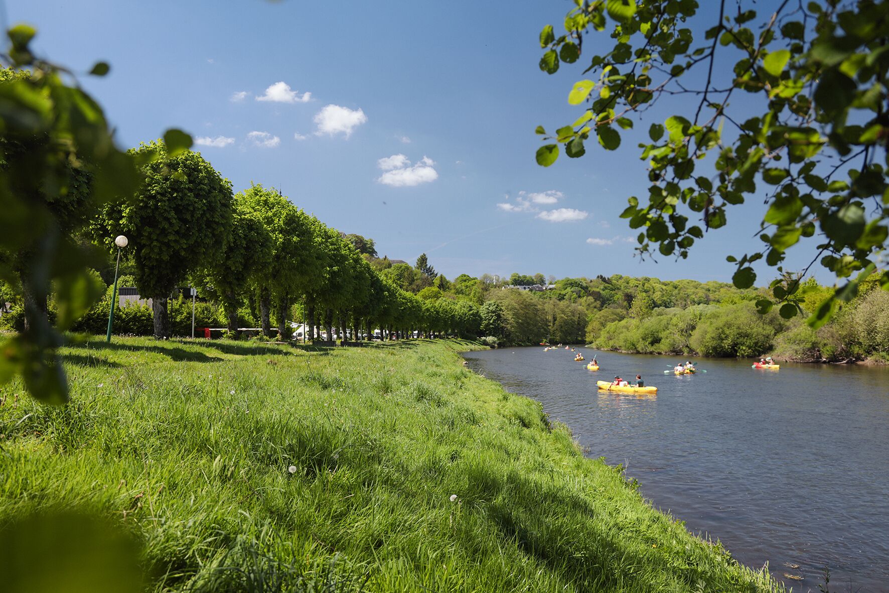 Un río con kayaks amarillos, rodeado de exuberante follaje y árboles.