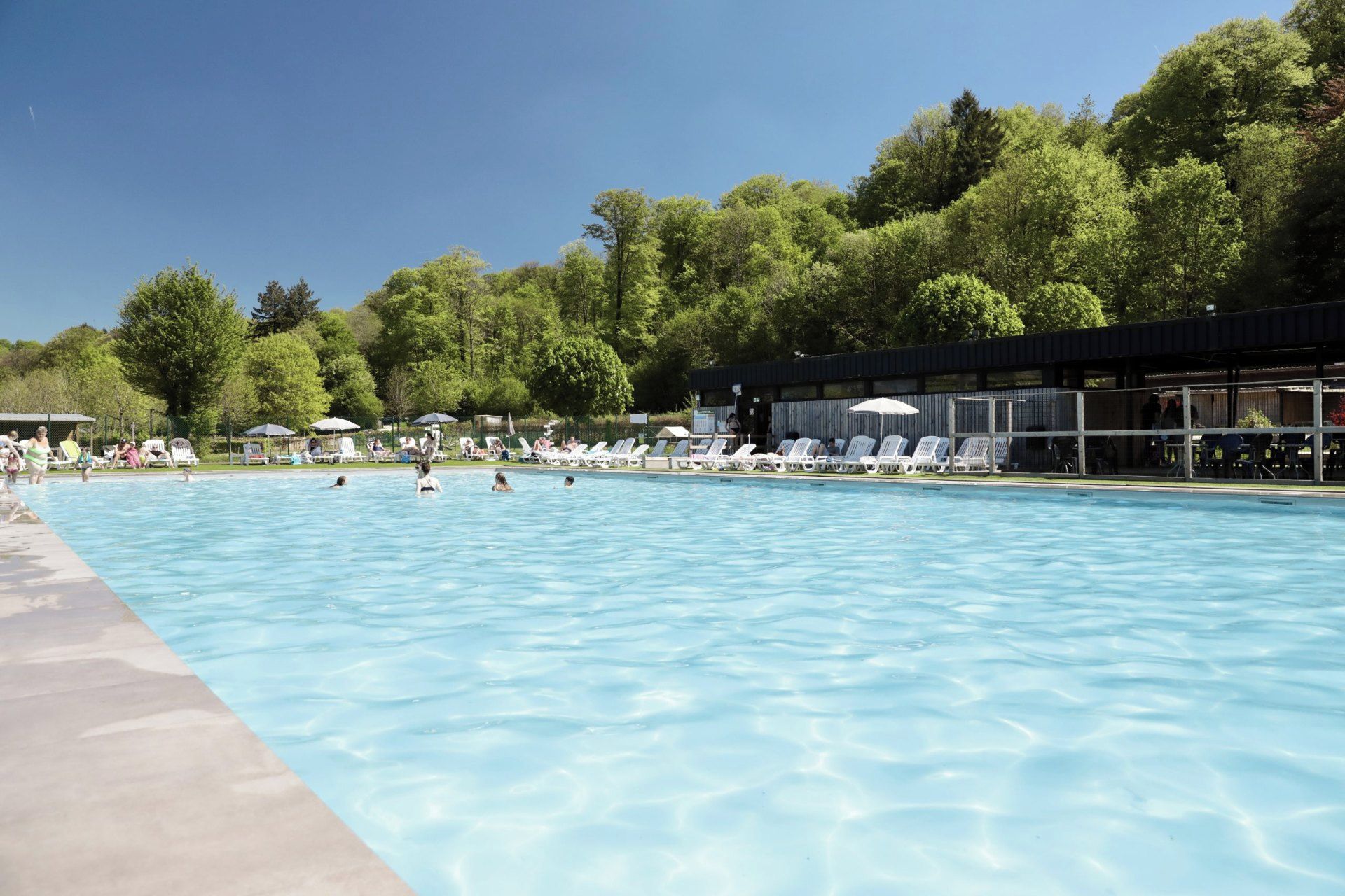 Een zwembad met helderblauw water, omringd door bomen en beschaduwd door parasols.