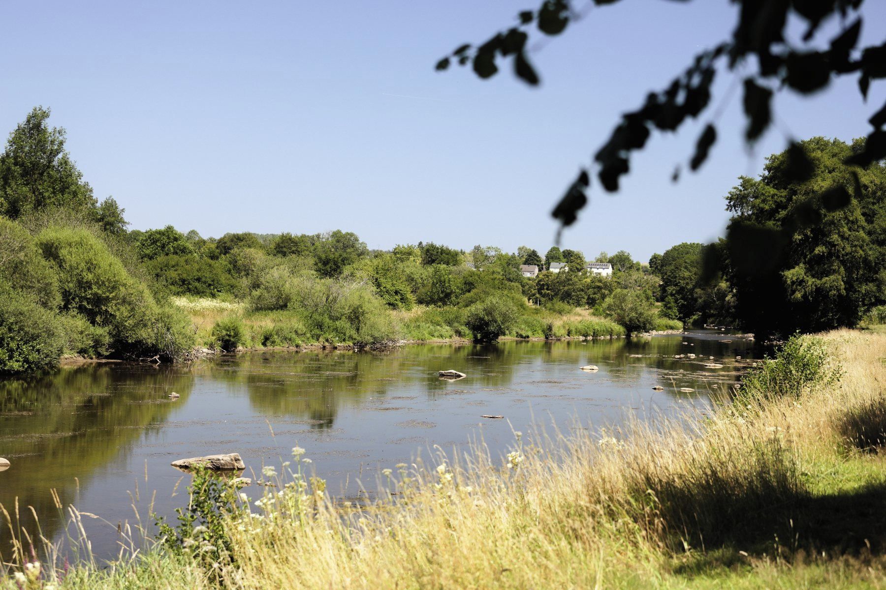 A river with surrounding greenery and a few houses in the background.