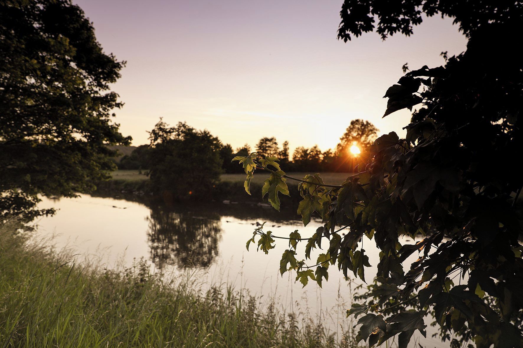 Een rustig uitzicht op een meer, met bomen en een zonsondergang.