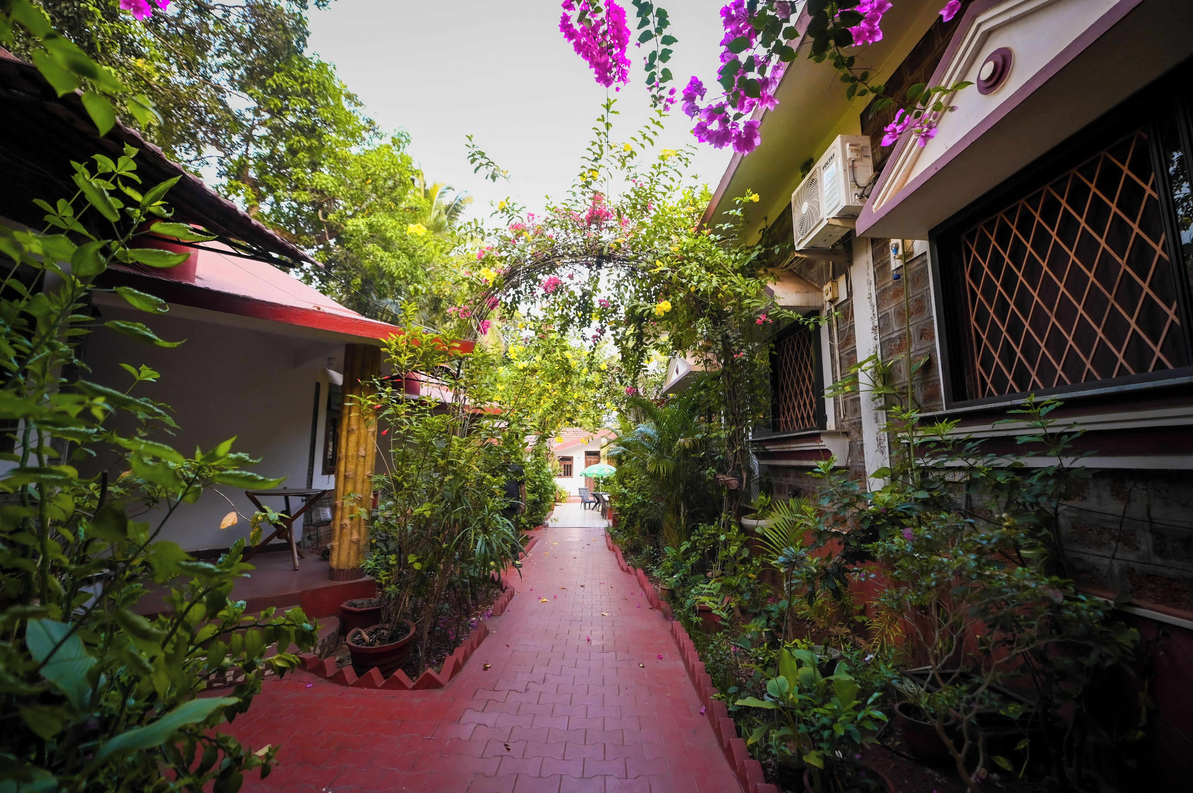 Garden view