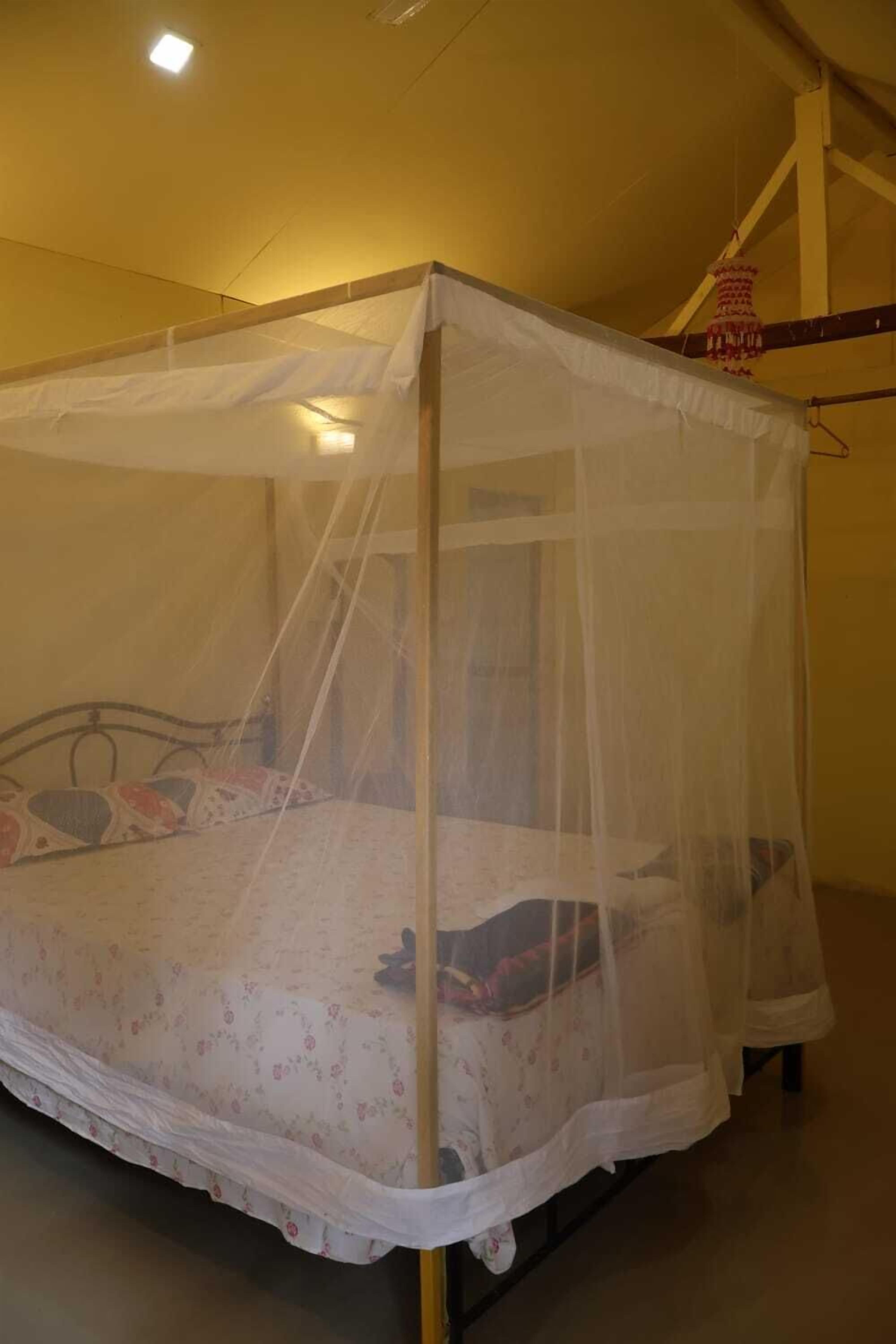 Executive Room | Free WiFi