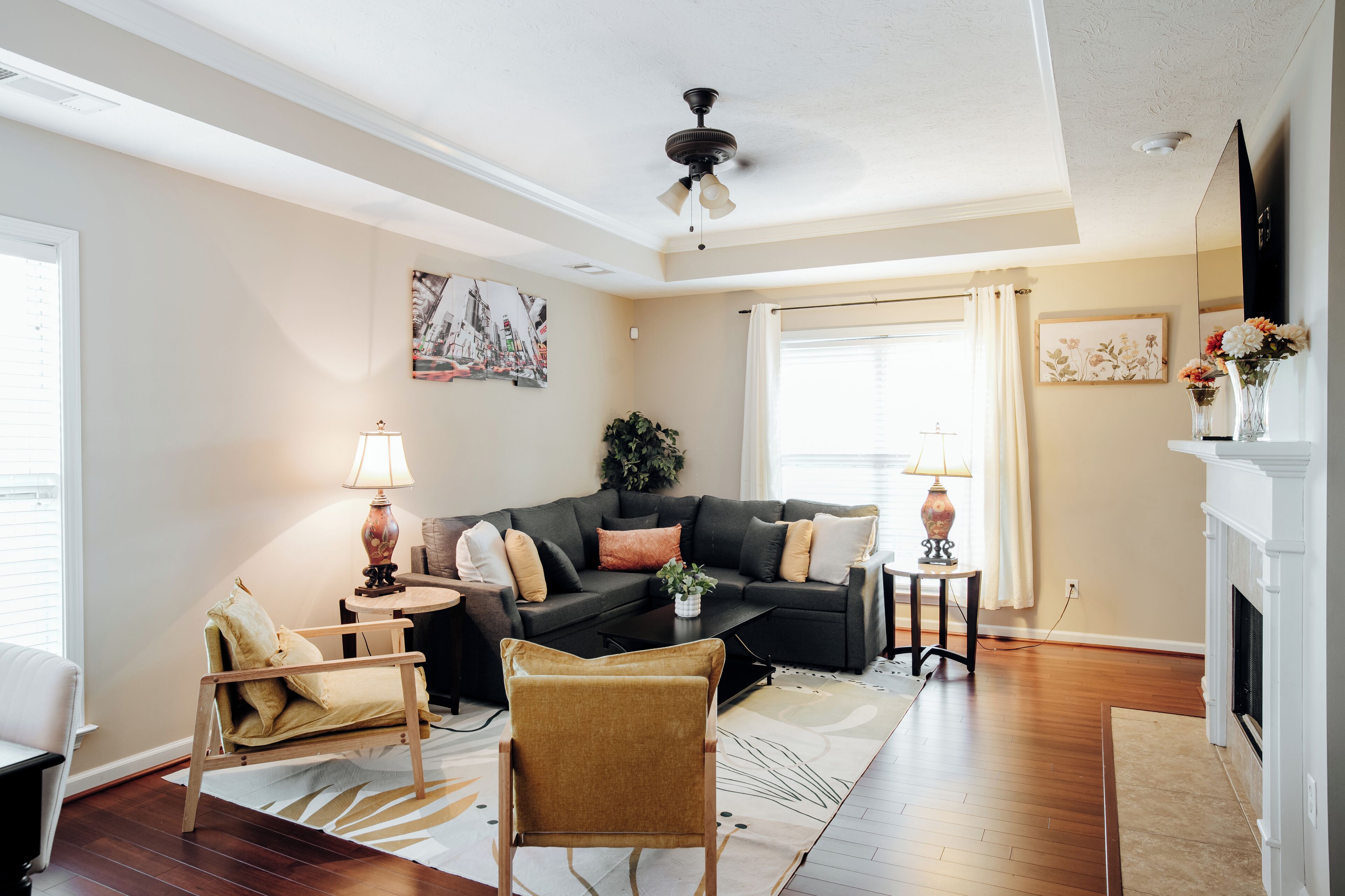 TV, computer monitors