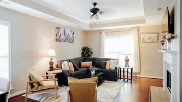 TV, computer monitors