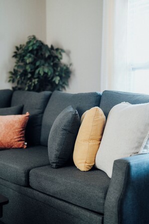 Televisión y monitor de computadora 