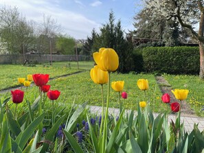 Property grounds - Green oasis in Weikersheim, close to the center in a very quiet location. (Weikersheim)