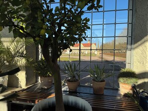 Interior - Green oasis in Weikersheim, close to the center in a very quiet location. (Weikersheim)