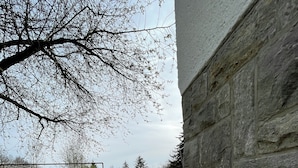 A stone pathway leading to a building with a stone wall. - Green oasis in Weikersheim, close to the center in a very quiet location. (Weikersheim)