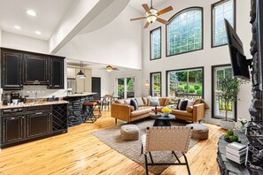 TV, fireplace, video games, books