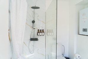 Chuveiro, secador de cabelo, toalhas de banho, sabonete