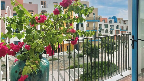 A balcony with a potted plant and a view of colorful buildings. - Pito Hotel - Hon Thom Phu Quoc (Phu Quoc)