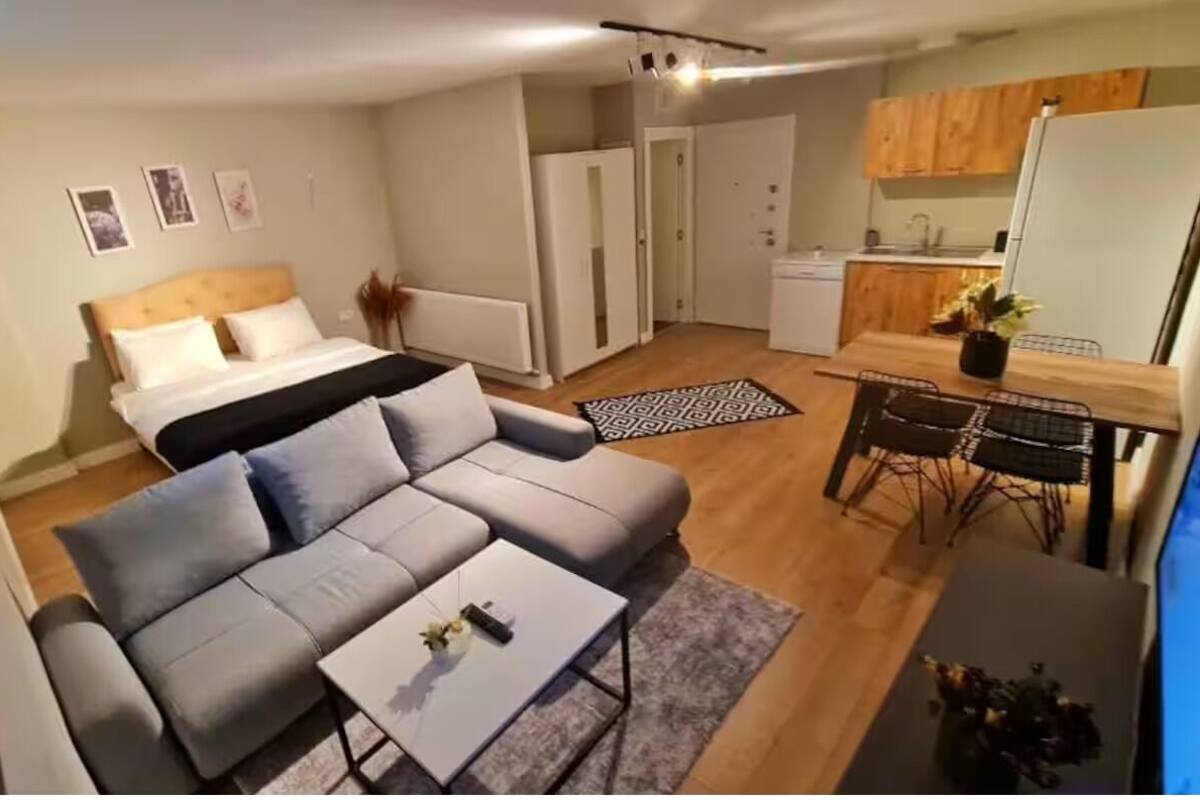 A modern apartment with a living area, a bed, a kitchenette, and a dining area.