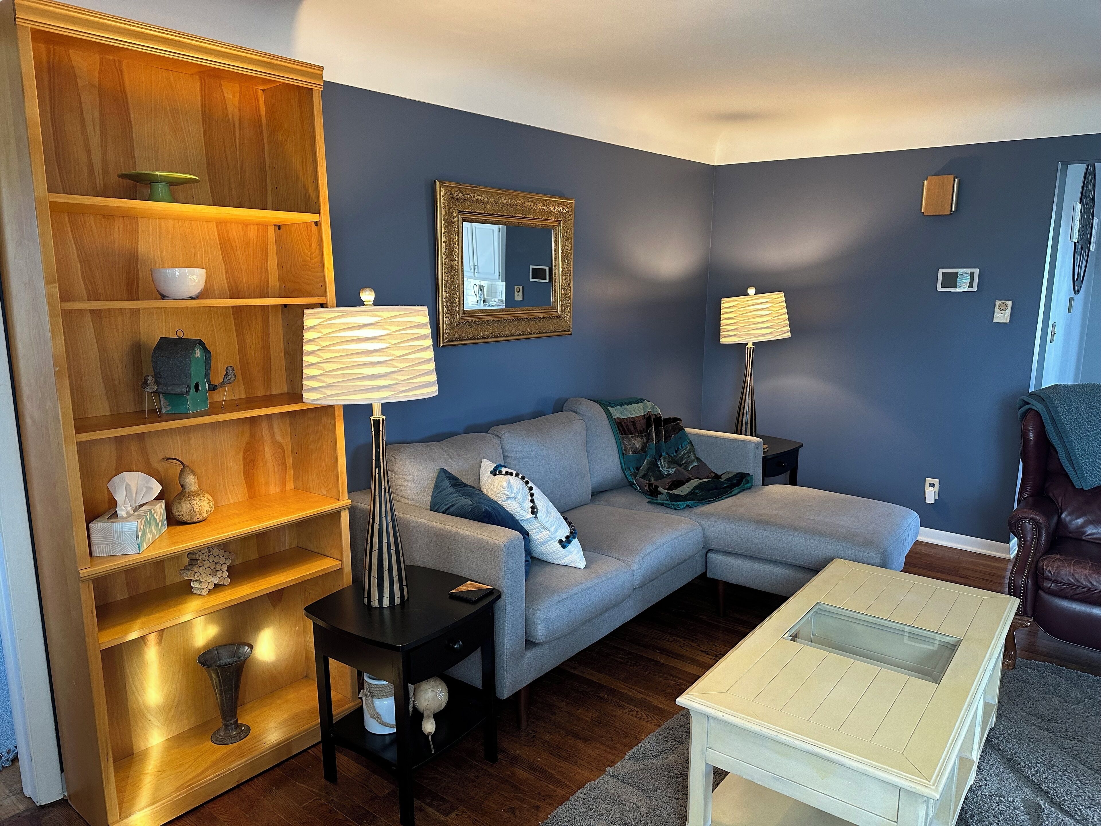 Televisión, reproductor de DVD, libros y videoteca 