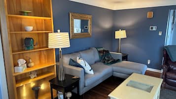 Televisio, DVD-soitin, kirjoja, videokirjasto