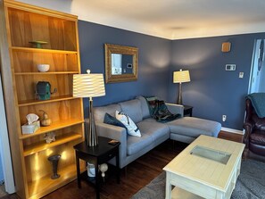 TV, lettore DVD, libri, videoteca