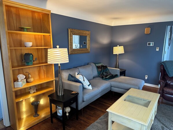 Een televisie, een dvd-speler, boeken en een filmbibliotheek