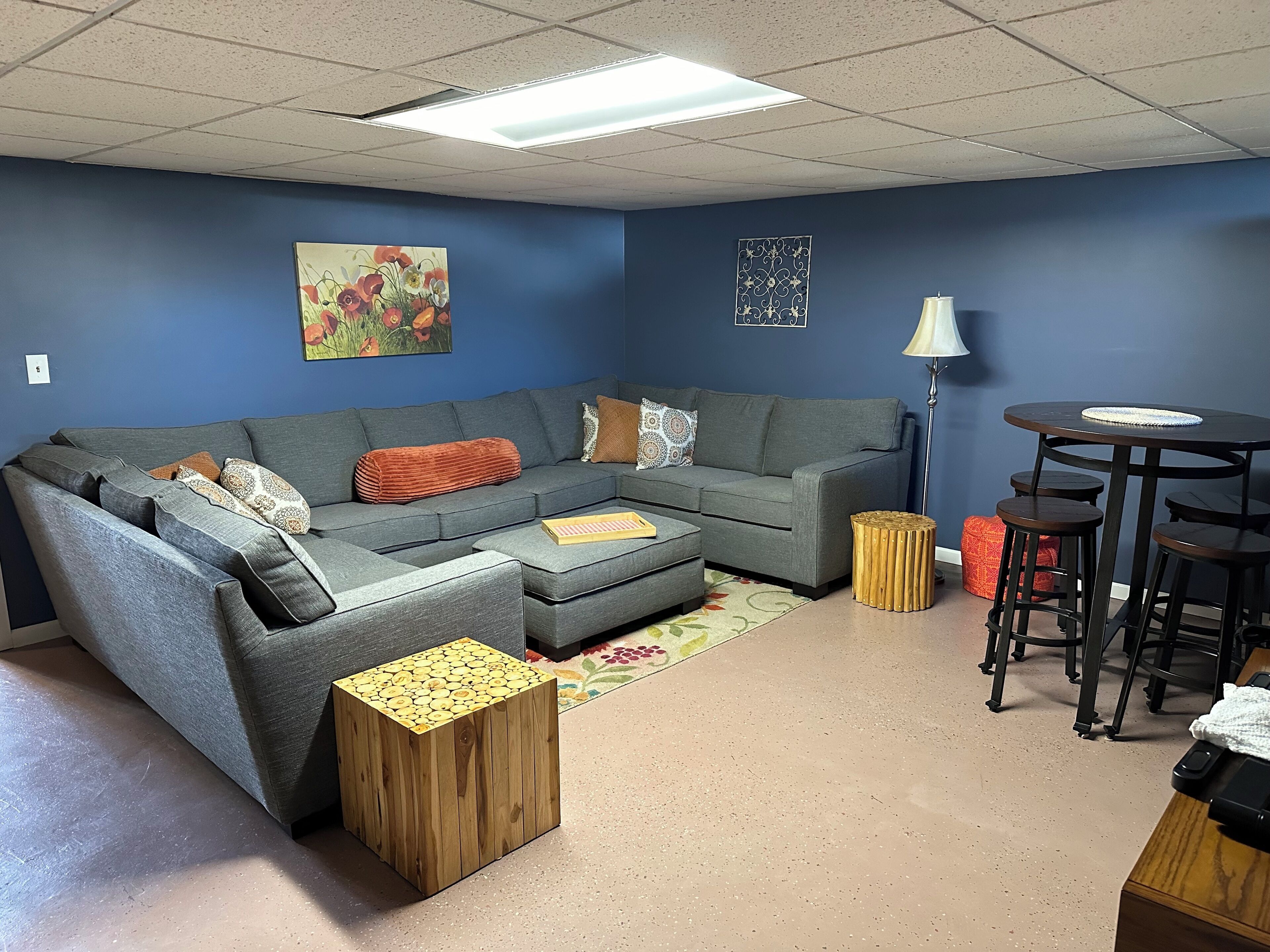 TV, DVD player, books, video library