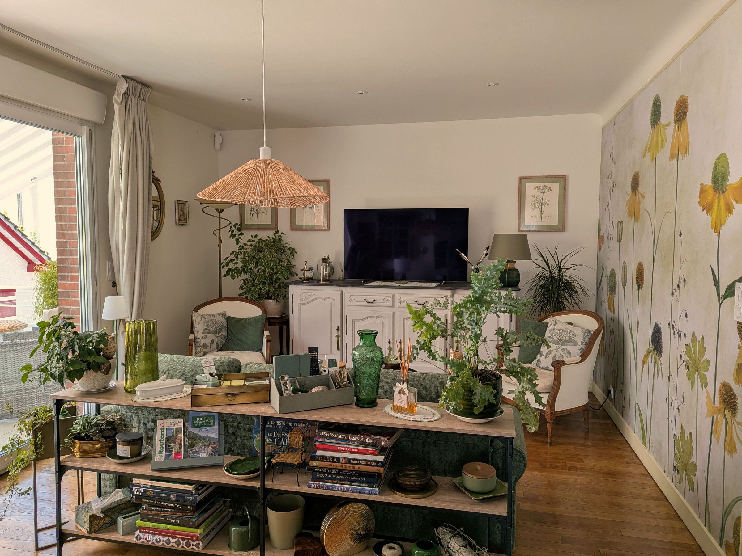 Un salon avec une télévision, des livres, des plantes et un mur décoratif.