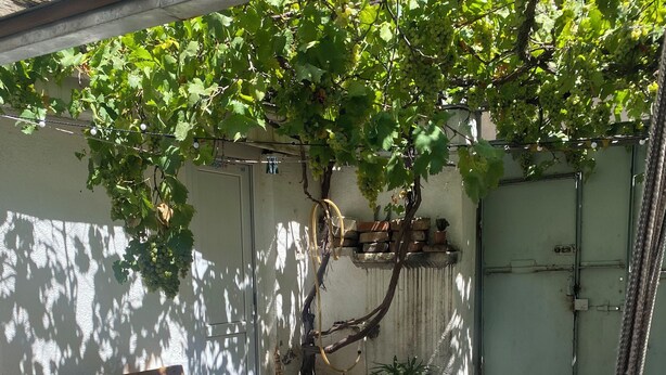 A wooden bench seating area with a pergola overhead, a small table, and a potted plant.