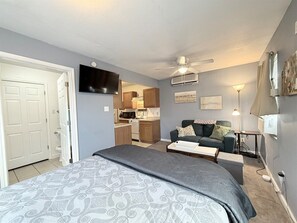 A bedroom with a bed, a television, a ceiling fan, a kitchenette, and a living area with a couch.