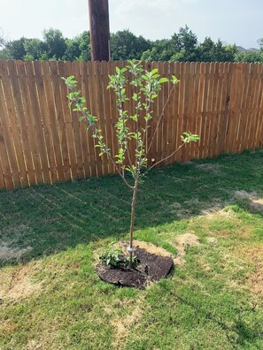 Property grounds - Charming 3-bedroom house in welcoming San Antonio with AC (San Antonio)