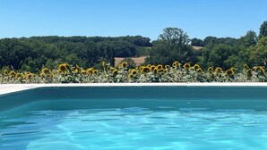 A clear blue pool with a sandy edge, surrounded by a field of sunflowers and a forested hill in the background.