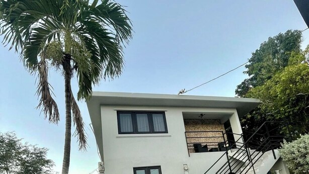 Una casa moderna de dos plantas con patio de concreto, una escalera y una palmera.