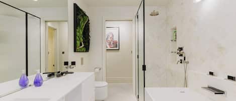 Shower, hair dryer