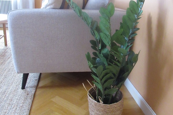Comfort Apartment, 2 Bedrooms, Kitchen, Hill View | Living area