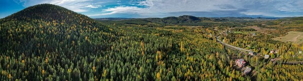 A forested landscape with a road and buildings. - Porter House Tingshus (Hammarstrand)