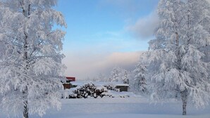 A snow-covered landscape with trees and a building in the background. - Porter House Tingshus (Hammarstrand)