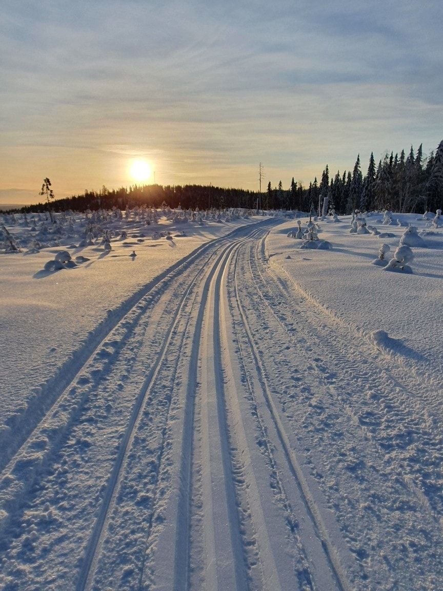 A snow-covered landscape with a clear path leading towards the sun.